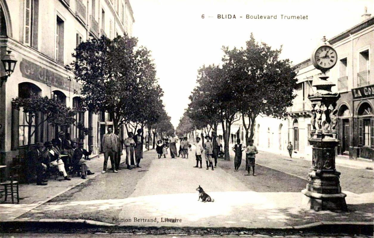 2019- Blida - Boulevard Trumelet.jpg